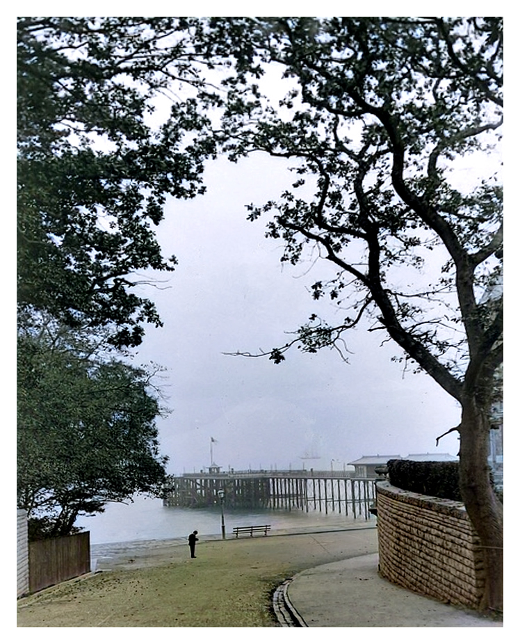 The Penarth Pier from Alexandra Park.