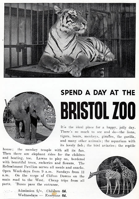 Spend a Day at the Bristol Zoo.