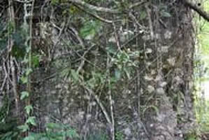 Ruins at Ashley Hall c.2009.