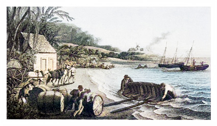 Delivery of barlles of sugar juice to the beaches!