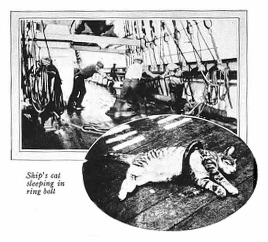 Sierra Lucena, which made a passage from Penarth to Mauritius in seventy-six days. 